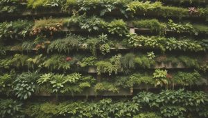 vertical gardens small spaces